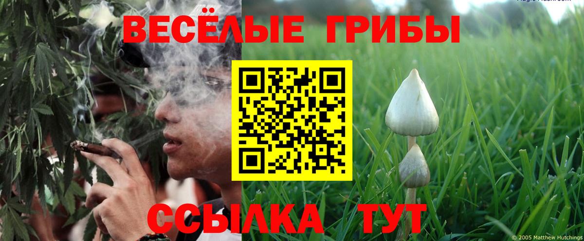 Псилоцибиновые грибы Cubensis  Вход с VPN  Псилоцибиновые грибы MAGIC MUSHROOMS  Ленинск-Кузнецкий 